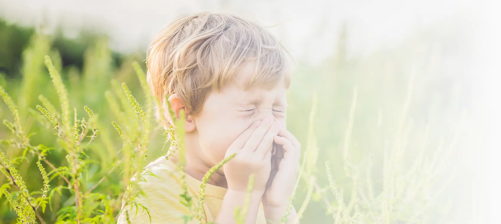 آزمایش فوق تخصصی آلرژی الکس