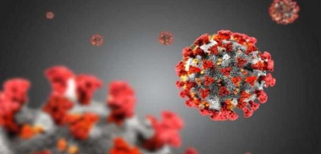 پایداری ایمنی مقابل کرونا